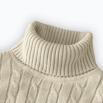 Cozy Rollneck